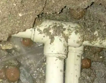 宁明测漏水多少钱