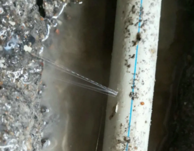 宁明测漏水哪家好