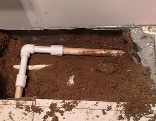 宁明测漏水哪家好