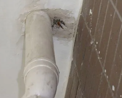 宁明漏水检测哪家好